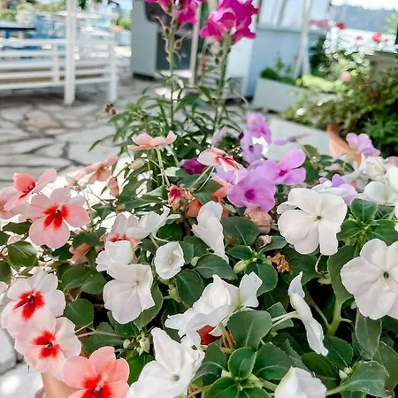 מלון Avli נידרי