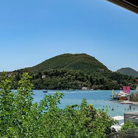 Avli