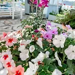 Hotell Avli Nidhrion