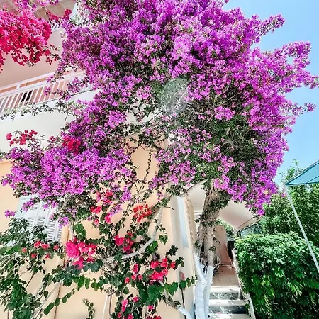 Hotel Avli