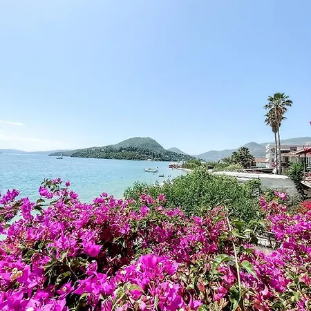 Hotel Avli