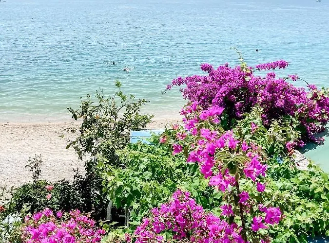 فندق Avli